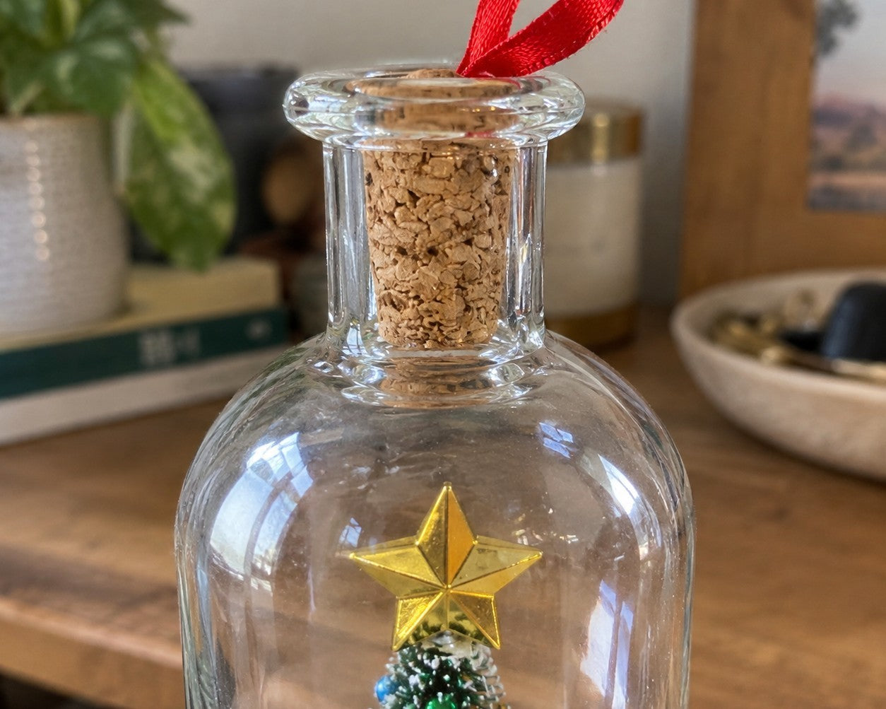 Cork Stopper And Ribbon