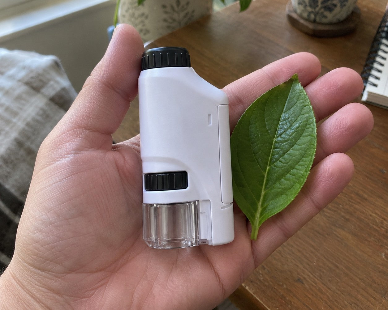 Fits in Your Palm