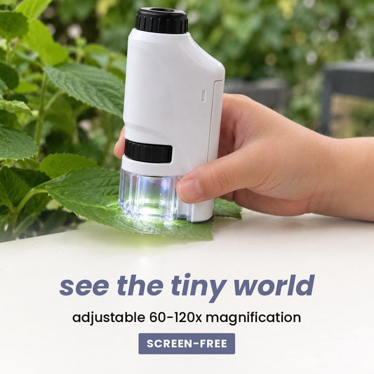 see the tiny world: adjustable 60-120x magnification