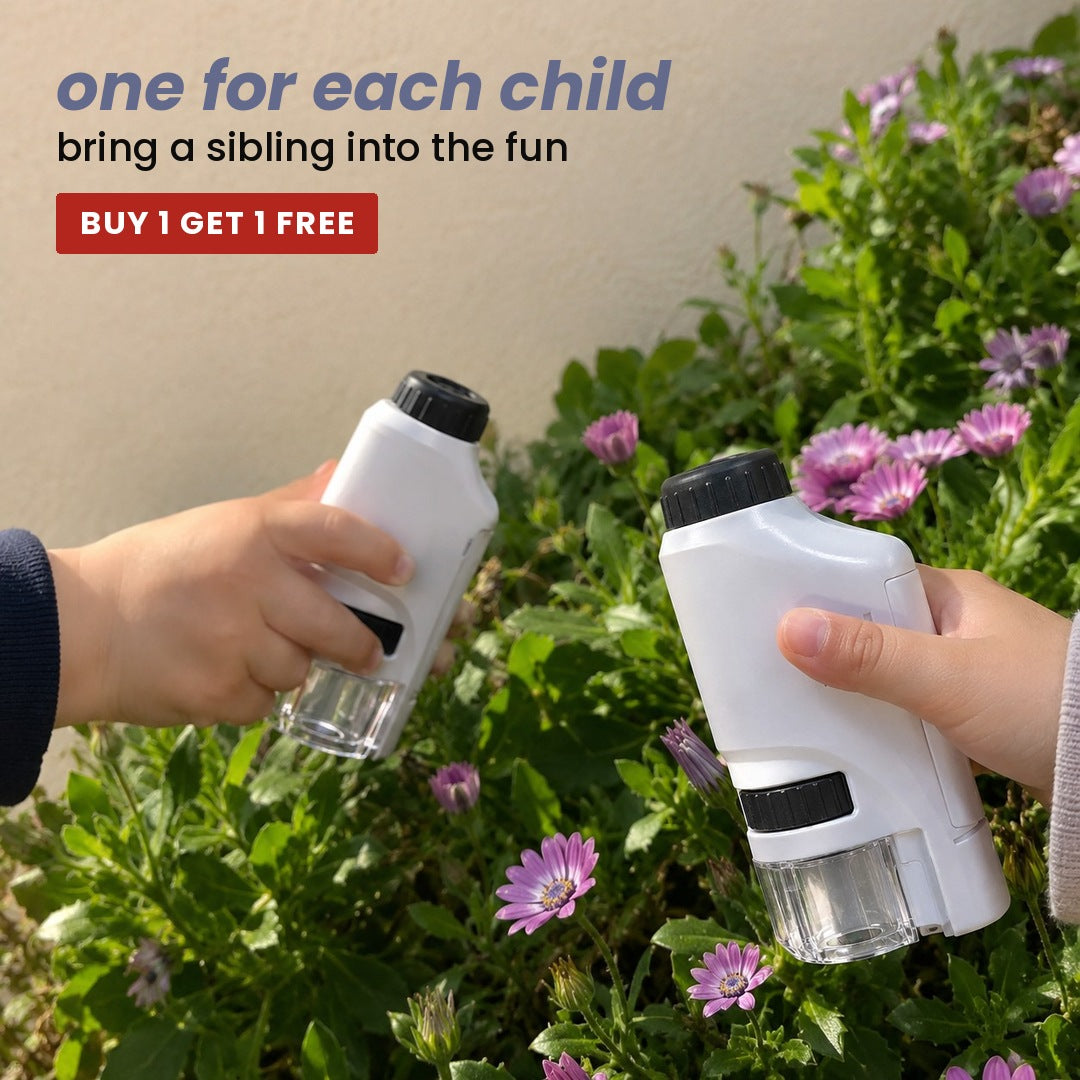 one for each child: bring a sibling into the fun