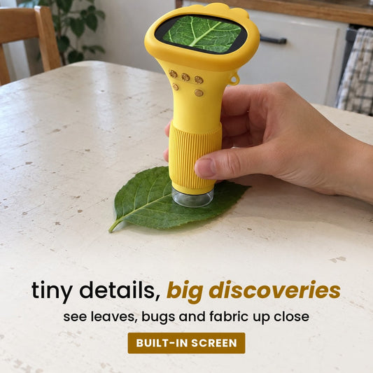 tiny details, big discoveries: see leaves, bugs and fabric up close