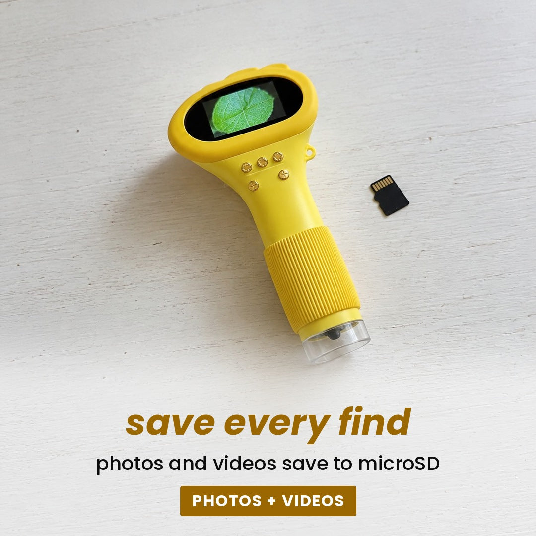 save every find: photos and videos save to microSD