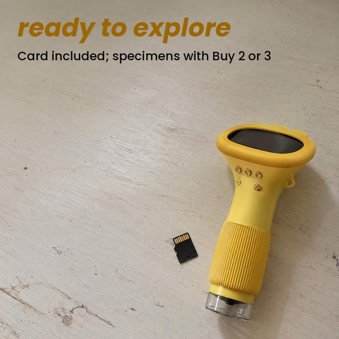 ready to explore: Card included; specimens with Buy 2 or 3